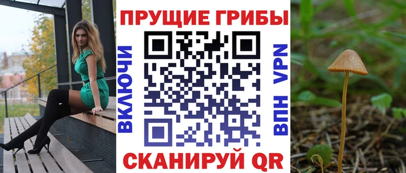 Галлюциногенные грибы MAGIC MUSHROOMS  Алагир 